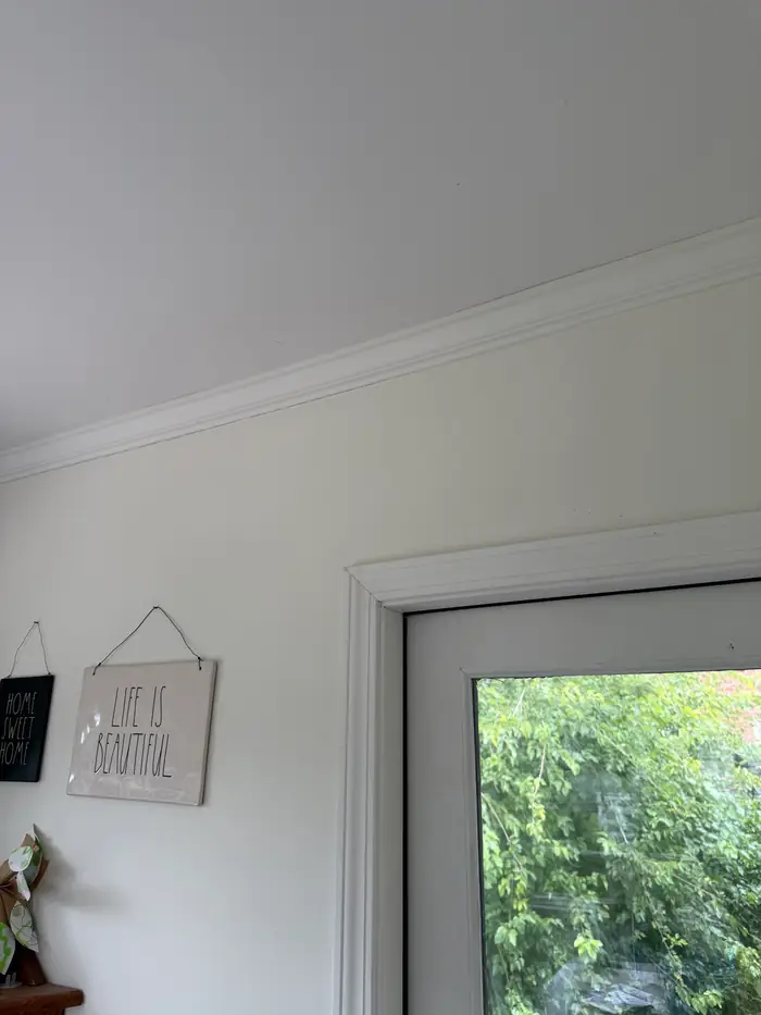 A freshly painted interior wall and crown molding beside a glazed door looking out to greenery